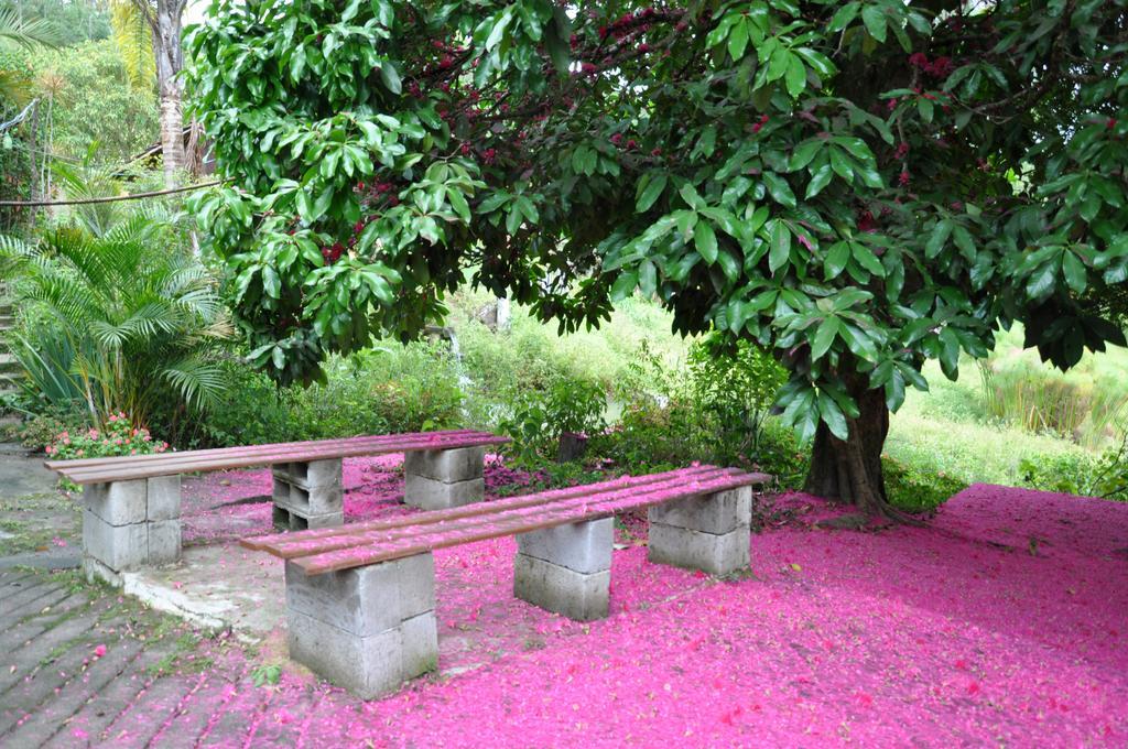 Eco Pousada Eldorado Lumiar Buitenkant foto
