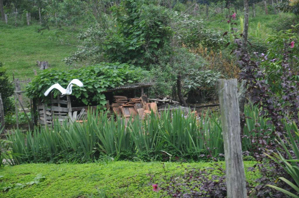 Eco Pousada Eldorado Lumiar Buitenkant foto